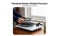 Vinyl Cartridge Excellent Channel Separation Clear Soundstage for Hi Fi
