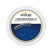 Pizza Training Disc Reusable Silicone Pizza Prop Raised Rim