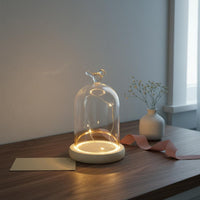 Dustproof Display Cover DIY Gift Glass Dome Display Case Glass Dome with Base Withstands Temperature Differences for Party Decor
