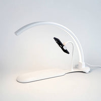 Arched Manicure Light with Phone Holder Hands Half-Overhead Detailing Lamp Customizable Lighting for Manicurists