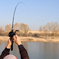 fishing rod and reel set