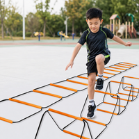 training ladder