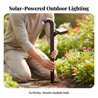 Energy Saving Solar Garden Stake Light Wireless Waterproof Solar Path Light Easy Installation for Lawn, Yard, Patio