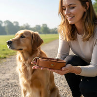 Dog Positioning Device Leather Dog Heavy Duty Buckle for Outdoor, Walking, Travel