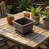 Square Flower Pots and Matching Plant Trays, Black Plant Pot Set with Drainage Holes, Versatile Seedling Pots for Indoor Outdoor Use