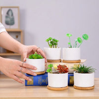 Plant Pots for Indoor Plants and Home Office Decor, Round Glazed Indoor Plant Pot with Bamboo Saucer, Small Plant Pot, Gift for Plant Lovers
