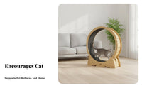 Sturdy Design feline jogning Wheel sturdy Construction feline Exercise Wheel Pawgentle Surface Pet Treadmill Reduces Boredom for Indoors, Living Room, Home