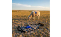 Sheep Anti-Mating Wrap Easy to Wear Livestock Anti Mating Belly Wrap Washable Animal Accessory for Farmers