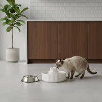 Filtered Ceramic Pet Fountain Easy to Clean Feline Water Fountain Unleaded Dishwasher Safe for Cats, Dogs, Indoor