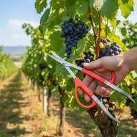 Fruit Thinning Shears Reduces Hand Strain Fruit Scissors with Clamp Tweezer Scissors Lightweight Design Garden Pruner