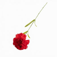 Artificial Carnation Bloom Realistic Petals Everlasting Charm for Gifts