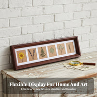 Currency Display Case Multifunctional Bill Display Frame DIY Multi-Opening Picture Frame for Collectors, Desktop, Office, Study