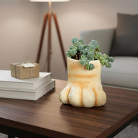 Feline Foot Flower Pot Micro Landscape Decor Cute Cat Foot Planter Creative Small Present Resin Pot for Desktop, Windowsill, Balcony