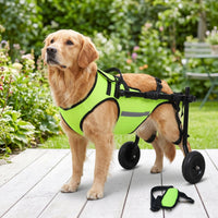 Padded Dog Wheelchair with Back-Leg Support Stable Dog Wheelchair with 2 Wheels Lightweight Rehabilitation Cart Long-Lasting for Disabled Dogs