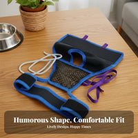 Female Dog Period Panties Washable Female Dog Heat Pants Easy to Hygienic Pet Care Product for Owners of Senior Dogs, Home Use, Outdoors