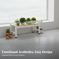 Freestanding 4-Tier Ladder Rack Tiered Design Plant Stand Space-Saving Display Shelf Multi-Purpose for Homeowners, Apartment Dwellers, Students, Living Room, Balcony, Bedroom, Kitchen