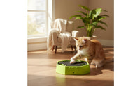 Interactive Automatic Mouse Chase Toy Relieves Boredom Feline Hide and Seek Toy Electric Feline Teaser for Cats, Kittens, Indoor