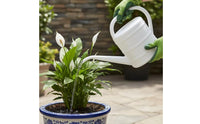 Watering Can with Long Spout