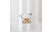 Decorative Aquatic Shaped Jar Borosilicate Glass Jar with Wood Base Clear Glass Bottle with Cork Stopper Cute for Collectors, Minimalists, Shelf, Desk, Home Office