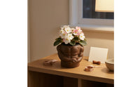 Smooth Finish Muscle Flower Pot Compact Torso Planter Open Top Body Planter Lightweight
