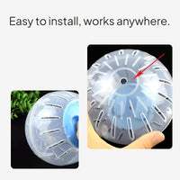 Hamster Exercise Spheres, Quiet, Ventilated, Random Color