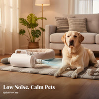 Low Noise High Velocity Dog Dryer Quick Dry High Velocity Pet Dryer Long-Lasting Engine Heated Pet Grooming Blower Multiple Nozzles for Home Use