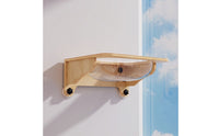 Wall-Mounted Cat Bed with Transparent Capsule Space-Saving Furniture for Cats, Indoor, Apartment
