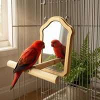 Framed Wooden Bird Enclosure Mirror Interactive Bird Mirror Perch Arch-Shaped Pet Accessory Lightweight
