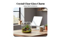 Glass Micro-Landscape Bottle Versatile Micro Landscape Bottle Great Gift Glass Terrarium Jar for Plant Lovers, DIY Enthusiasts, Bedroom, Office, Study