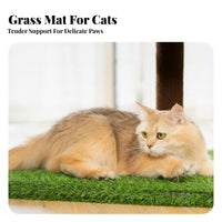 Feline Climber Perch Sturdy Construction Multi-Level Feline Climber Easy Assembly Sisal Feline Scratching Surface Structure for Adult Cats, Kittens