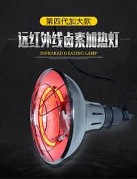 卤素保温灯卤素养殖取暖灯节能可调灯口育雏加热灯泡育雏保温灯泡