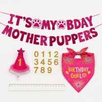 Dog Birthday Costume Banner, Cone Hat, Triangle Bandana Set, Pet's Special Day Celebration