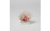 Coral Sculpture with Acrylic Base Tabletop Coral Sculpture Translucent Resin Ornament with Base for Living Room, Office Desk