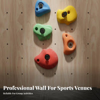 C Our Team Tomizable Configuration Artificial Rock Wall Family Fun Outdoor Climbing Wall Textured Surface Recreational Facility Professional-Grade for Climbers, Beginners, Indoor, Gymnasium, Recreation Center, Am Our Team Ement Park