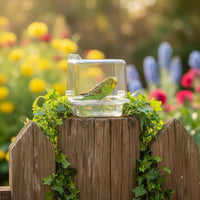 Dual Use Hanging Acrylic Bird Bath Lightweight Hanging Acrylic Bird Feeder Crack Resistant Parrot Feeder Box Easy to Install for Parrots, Small Birds, Aviary