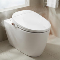 Instant Heating Smart Bidet Toilet Seat Body Sensor Handheld Controller Control Bidet Seat LED Display for Home
