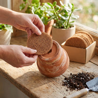 Coconut Fiber Pot Bottom Mesh Pads for Drainage and Soil Retention