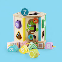 Wooden Shape Sorting Toy Early Learning Wooden Shape Sorter Fine Motor Skills Educational Sorting Box for Young Children, Infants, Nursery, Preschool