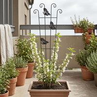 Tapered Frame Butterfly Trellis Curled Top Metal Plant Trellis Tall Decorative Vine Support Lightweight