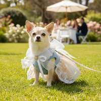 Princess Wedding Dress for Small Dogs and Cats with Leash Ring - Maltese, Ragdoll