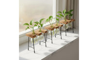 Minimalist Design Glass Bulb Planter with Wooden Stand Crisp Design Hydroponic Vase Stand Easy to Assemble Plant Propagation Station Observe Rooting for Bookshelf