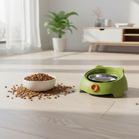 Stainless Steel Tilted Pet Bowl for Cats and Small Dogs, Elevated Anti-Vomit Anti-Choke Food Feeder, Non-Slip Anti-Tip Design