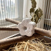 Cuttlebone for Birds with Loofah and Pinecone, Bird Gnawing Toy and Bird Gnaw, Cuttlefish Bone Addition with Bell Toy