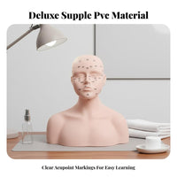Multi-Function Massage Training Mannequin Reusable Acupoint Model Bust Long-Lasting for Students, Beginners