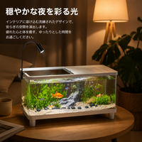 Aquarium Tank Set, Acrylic Tank, 41×22×22.5cm, Large, Tropical Fish Breeding Case, With LED Light