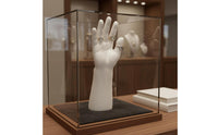 Band Display Hand Fake Hand Model Photo Prop Rings Holder for Shop Owners