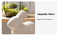 Desktop Ceramic Planter Japanese Aesthetic Mini Flower Vase Versatile Decor