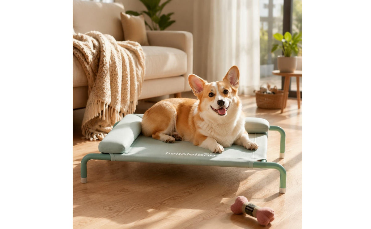 Elevated Dog Bed Easy to Clean Portable Pet Cot Bed Cooling Ventilation Moisture Proof for Indoor