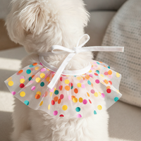 Pet Birthday Bandana and Hat Set for Small to Medium Dogs
