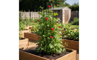 Plant Support Frame Sturdy Climbing Plant Trellis Garden Obelisk Weather-Resistant Tomato Support Sturdy for Gardeners